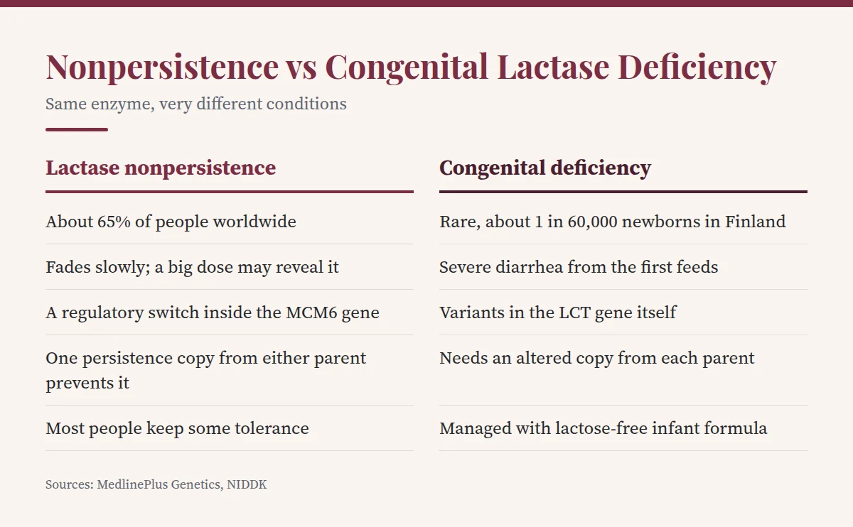 Summary card: Nonpersistence vs Congenital Lactase Deficiency